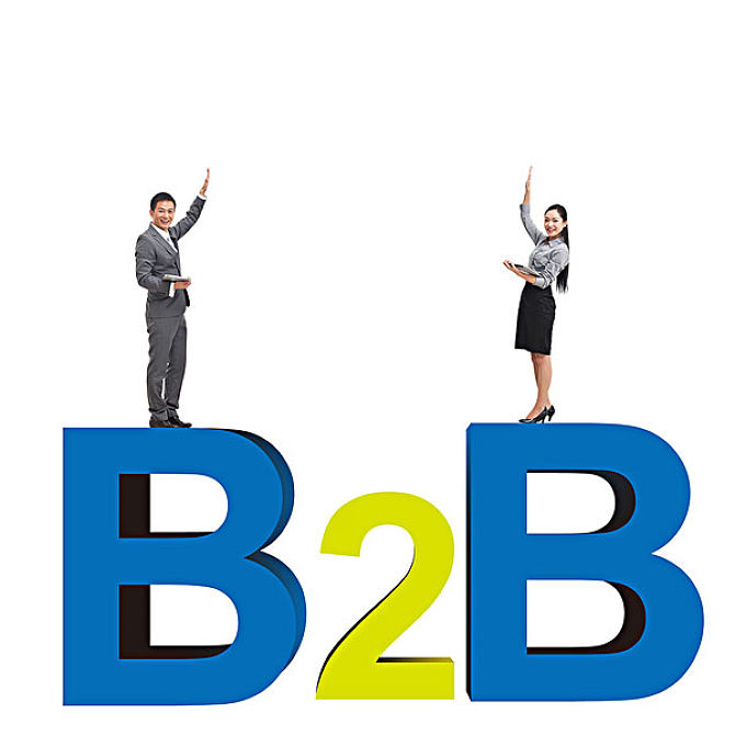 杭州b2b网站设计开发特点